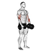 Revers grip curl de bíceps con mancuerna