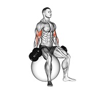Sentado curl de bíceps (on stability ball) con mancuerna