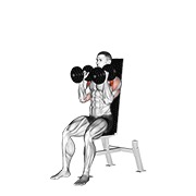 Sentado press de hombros (parallel grip) con mancuerna