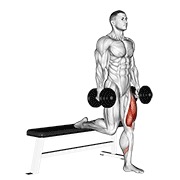 Single leg split sentadilla con mancuerna