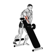 De pie one arm curl (over inclinado bench) con mancuerna