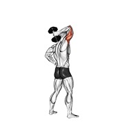 De pie one arm extensión con mancuerna