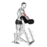 De pie preacher curl con mancuerna