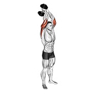 De pie triceps extensión con mancuerna