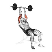 Ez con barra inclinado triceps extensión