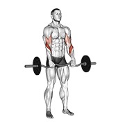 Ez con barra inverso grip curl