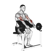 Ez con barra inverso grip preacher curl