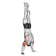 Handstand flexión