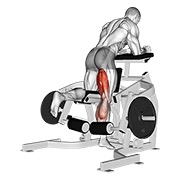 De palanca kneeling curl femoral