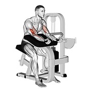 De palanca preacher curl