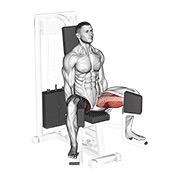 De palanca sentado hip adduction