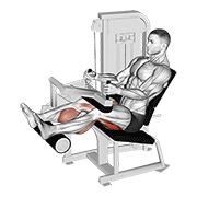 De palanca sentado curl femoral