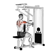 De palanca sentado inverso aperturas (parallel grip)