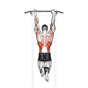 Mixed grip chin-up