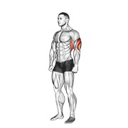 Sobre la cabeza triceps stretch