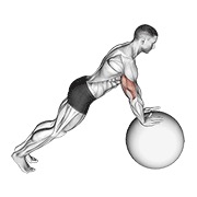 Flexión (on stability ball)