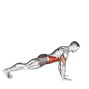 Flexión to side plancha