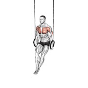 Ring dips