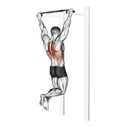 Scapular dominada