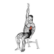 Sentado lower back stretch