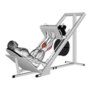 Sled 45в° calf press