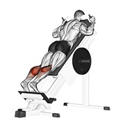 Sled forward angled elevación de gemelos