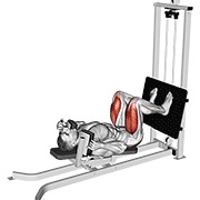 Sled tumbado sentadilla