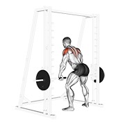Posterior delt remo multipower