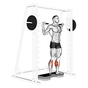 Inverso calf raises multipower
