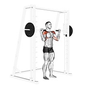 De pie military press multipower