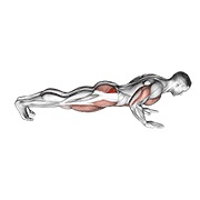 Spider crawl flexión