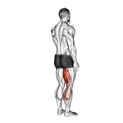 De pie single curl femoral