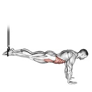 Suspended inverso crunch