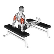 Triceps fondo (bench leg)
