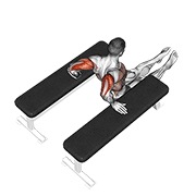 Triceps fondo (between benches)