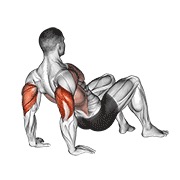 Triceps dips floor