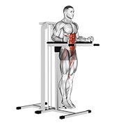 Vertical leg elevación (on parallel bars)