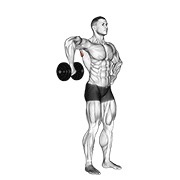 Upright shoulder external rotation con mancuerna