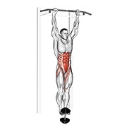 Con lastre hanging leg-hip elevación