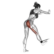 Bent-over hip extensión con banda
