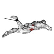 Tumbado hip internal rotation con banda