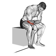 Inverso wrist curl con banda