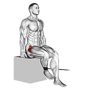 Sentado hip internal rotation con banda