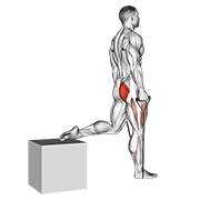 Single leg split sentadilla con banda