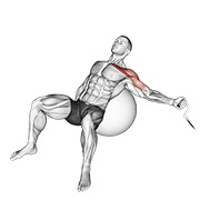 One arm inclinado aperturas on exercise ball en polea