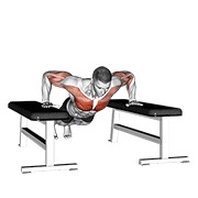 Drop flexión