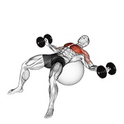 Aperturas on exercise ball con mancuerna