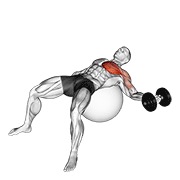 One arm chest aperturas on exercise ball con mancuerna