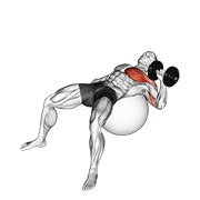 One arm press on exercise ball con mancuerna