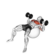 Press on exercise ball con mancuerna